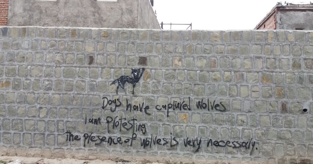 ساوالان؛ گرافیتی‌ در‌ اردبیل در اعتراض به تخریب محیط زیست