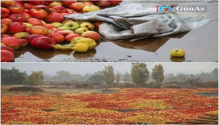 انباشت هزاران تن سیب باغداران آذربایجان در کنار جاده‌ها + ویدئو