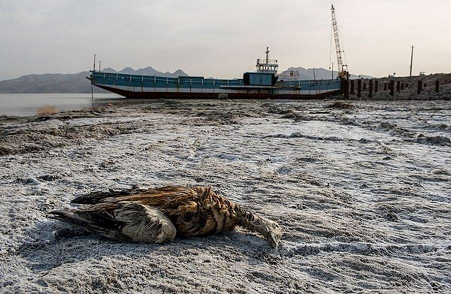 خانه توسعه آذربایجان: هست و نیست ۶ میلیون ساکن اطراف دریاچه ارومیه در معرض خطر جدی است