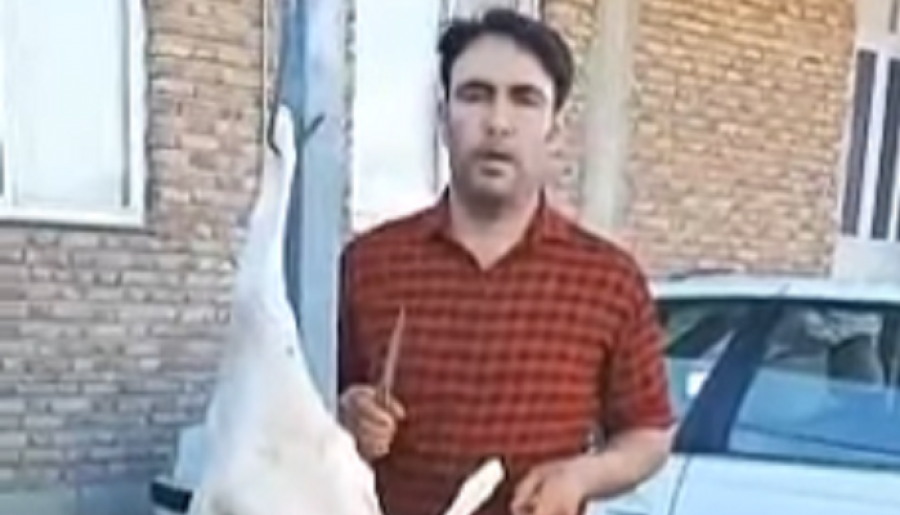 قربانی کردن گوسفند در آذربایجان جنوبی به مناسبت روز پیروزی + فیلم