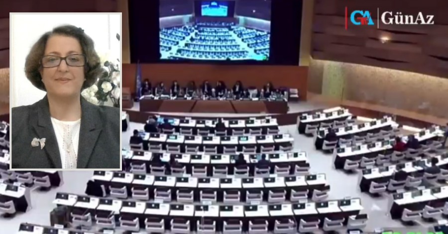 سخنرانی مدیر جمعیت ارک در 49 مین اجلاس شورای حقوق بشر سازمان ملل - ویدئو
