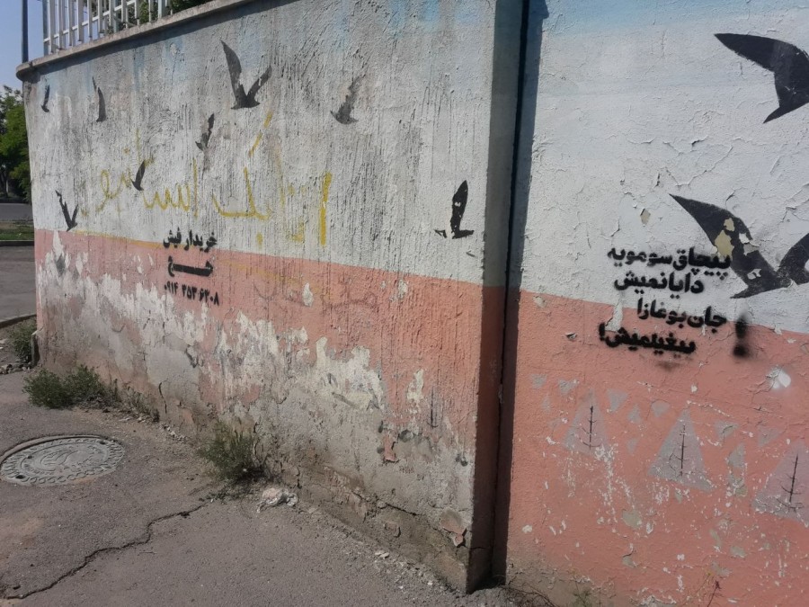 دیوار نویسی در تبریز: «پیچاق سومویه دایانمیش جان بوغازا ییغیلمیش» + تصاویر