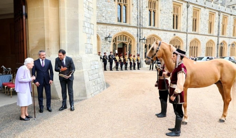«اسب قاراباغ» هدیه ویژه آذربایجان به ملکه انگلیس