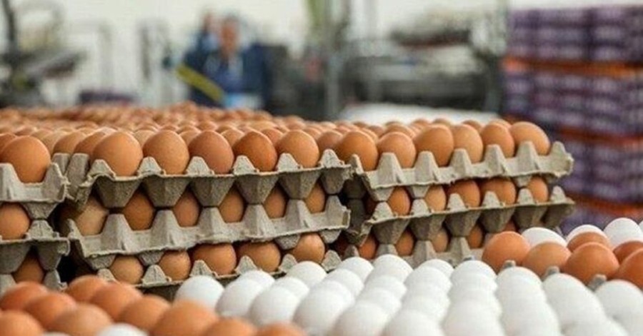 عراق مواد غذایی وارده از ایران را پس فرستاد