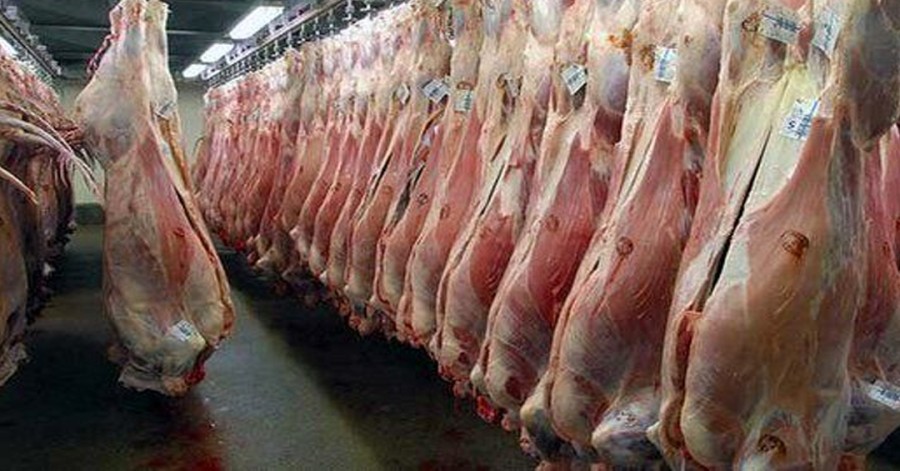 افزایش مبتلایان تب کریمه‌کنگو به ۱۸ نفر / فوت دومین بیمار مبتلا