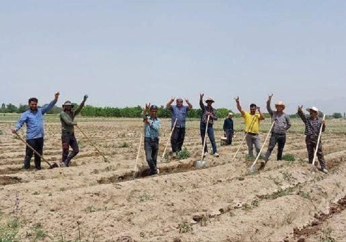 حضور فعالین ملی آذربایجان در روستای نظرلو برای کمک به کارهای کشاورزی پدر دو فعال بازداشت شده