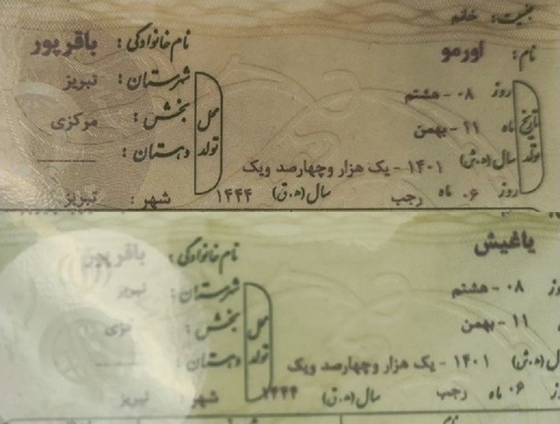 مبارزه ۴ ماهه زوج آذربایجانی برای دریافت شناسنامه به دوقلوهایشان با اسامی ترکی «یاغیش و اورمو»