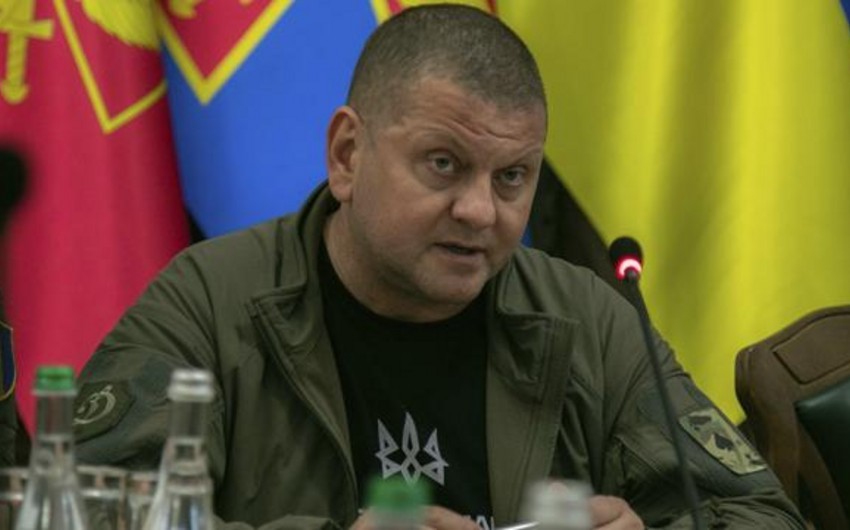 Zalujnı Ukrayna Ordusunun bu il Mariupolu azad edəcəyinə söz verib