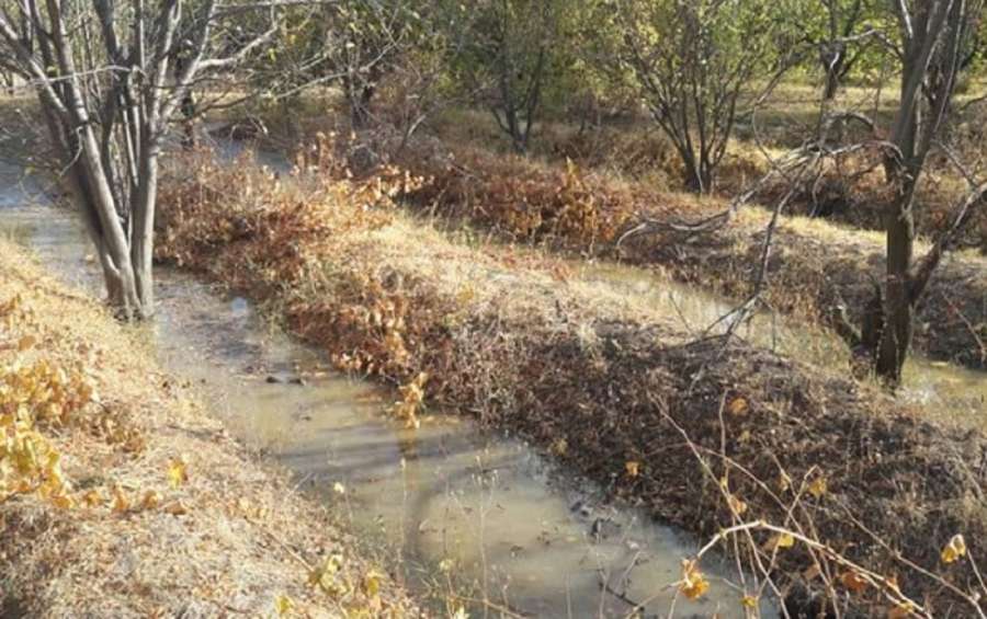 Marağada ekoloji problem-Sənaye suları əkin və bağ sahələrinə axıdılır