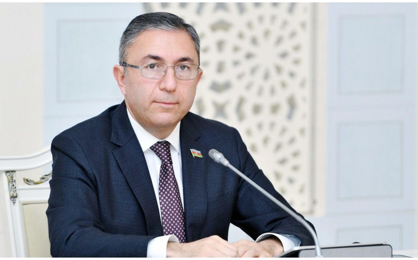 Milli Məclisin komitə sədri Ermənistan parlamentinin rəhbəri ilə görüşüb