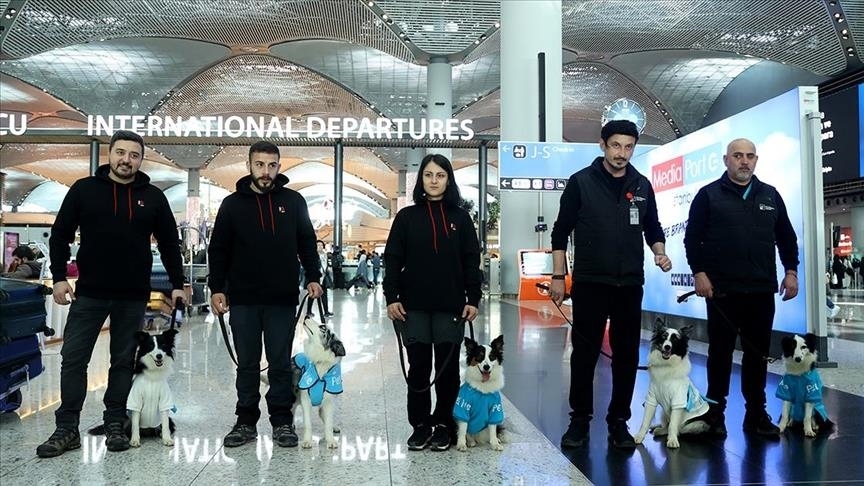 سگ‌‌های درمانگر در فرودگاه بین‌المللی استانبول