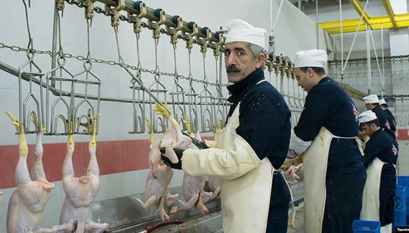 یک فروشنده مرغ در ایران در مشاجره با مسافری بر سر گرانی مرغ به قتل رسید
