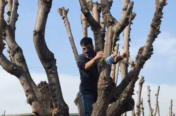 İranın ən nüfuzlu universiteti oyuncaq siçana görə tələbəni universitetdən qovub
