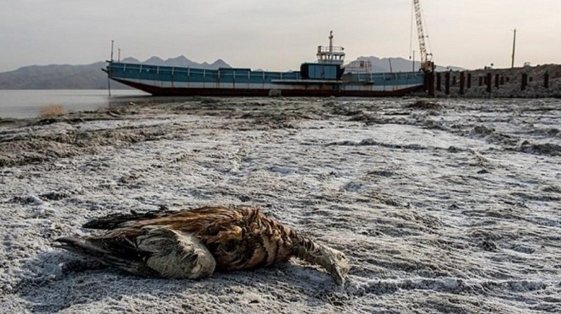 The most recent information on lake Urmia has been provided