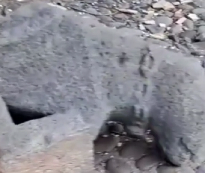 تخریب قوچ‌های سنگی ورزقان که توسط میراث فرهنگی به بهانه حفاظت جمع‌آوری شده بودند + فیلم