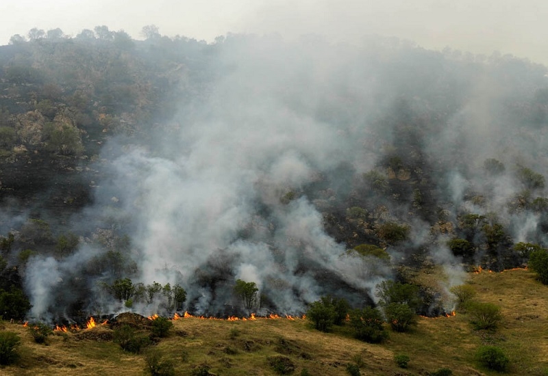 Güney Azərbaycanda hektarlarla meşə zolağı yandı