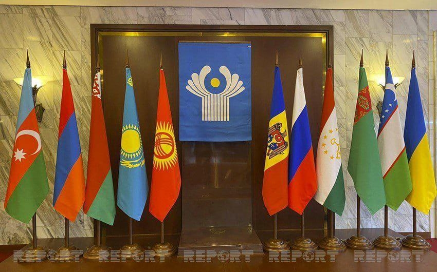 فعالیت ناظران بین‌المللی بر انتخابات ریاست جمهوری آذربایجان