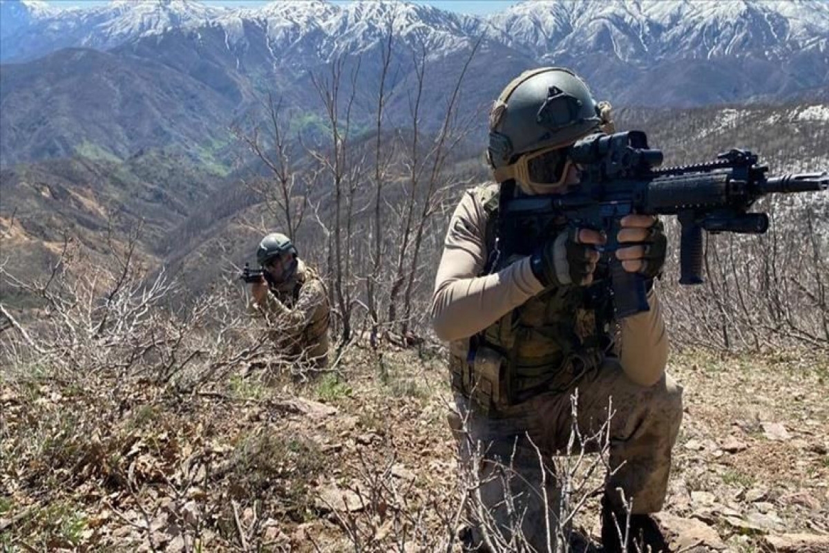 Türkiyə ordusu İraqın şimalında daha 5 terrorçunu zərərsizləşdirib