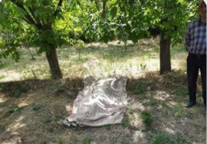 کشته شدن یک شهروند آذربایجانی در مرند بر اثر تیراندازی مامور نیروی‌ انتظامی
