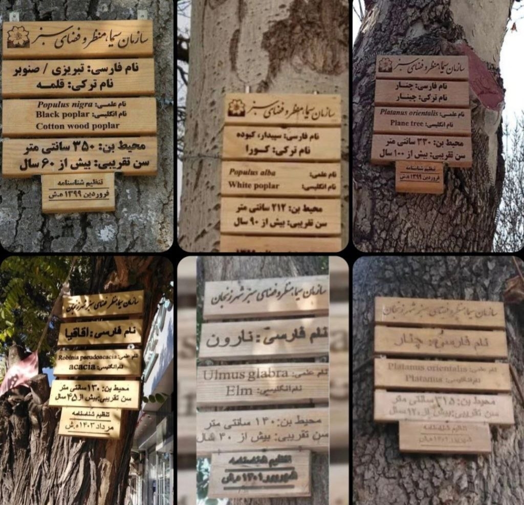 شدت‌گیری پروژه حذف زبان تورکی در زنجان؛ آسمیلاسیون نام درختان را نیز هدف قرارداده است