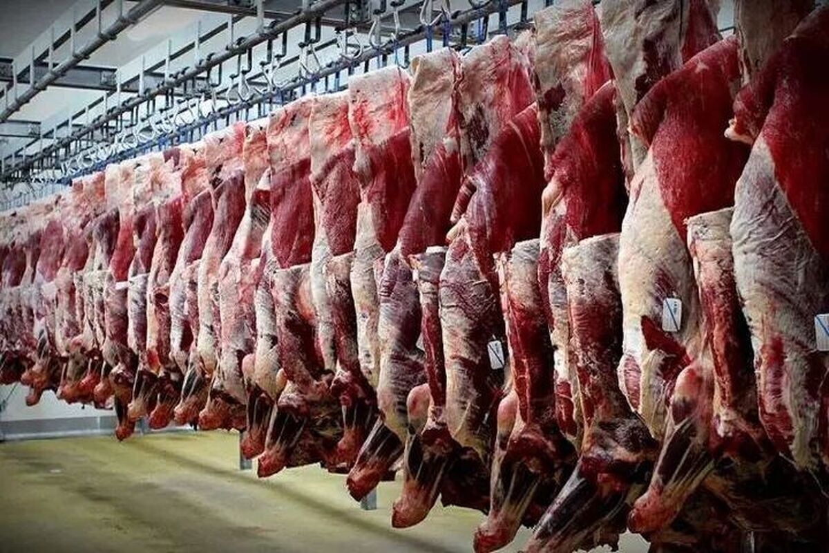 سقوط تولید و افزایش قیمت گوشت قرمز