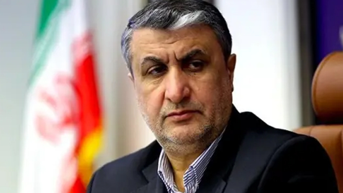 اتریش به رئیس سازمان انرژی اتمی ایران ویزا نداد